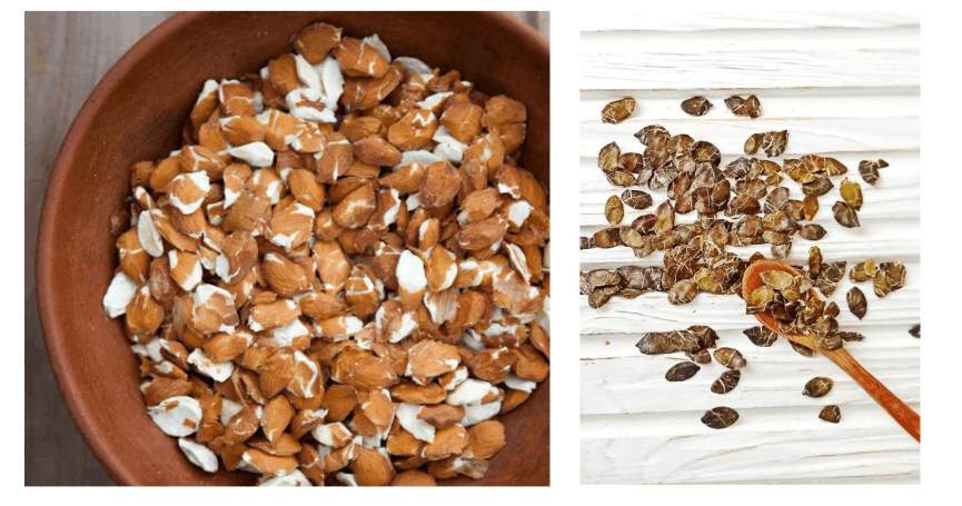 Жмых абрикосовой косточки и жмых семян тыквы