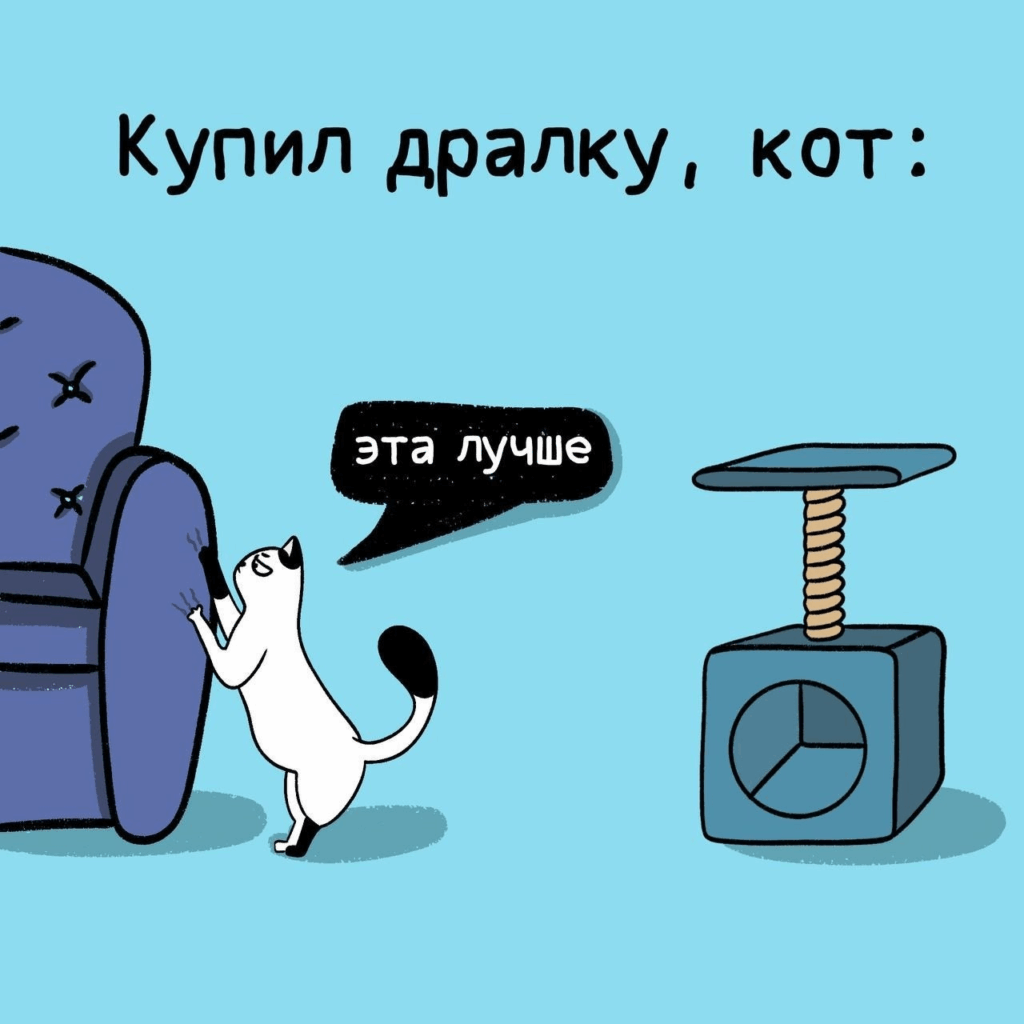 Мем с котиком