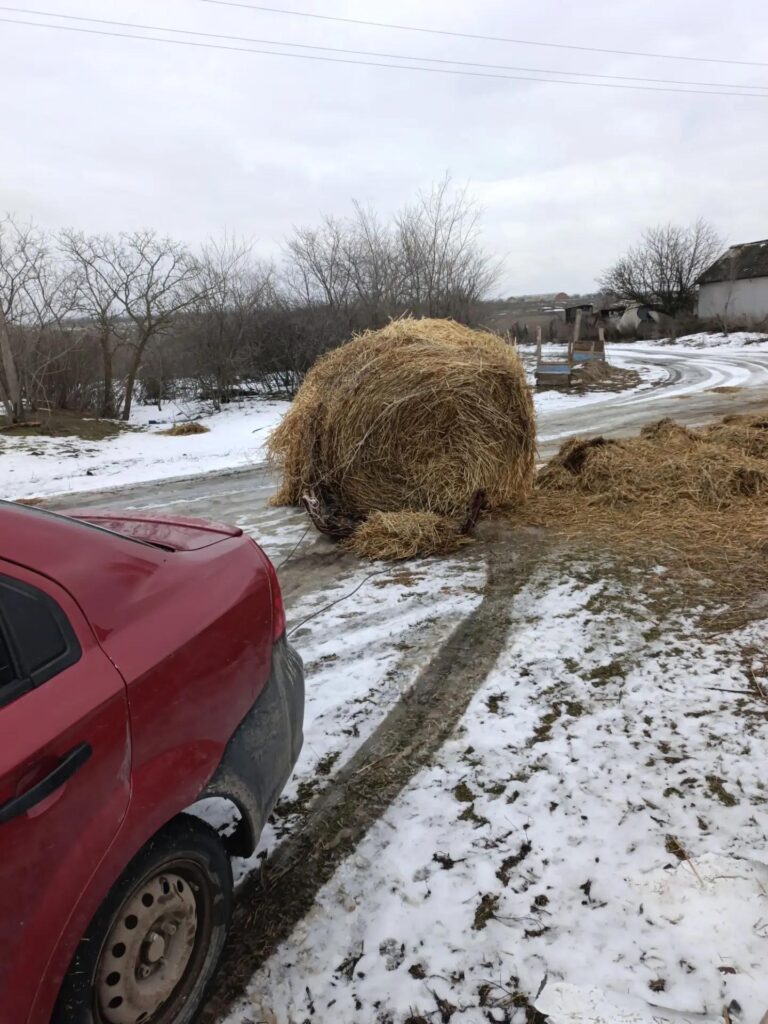 Сено на зиму