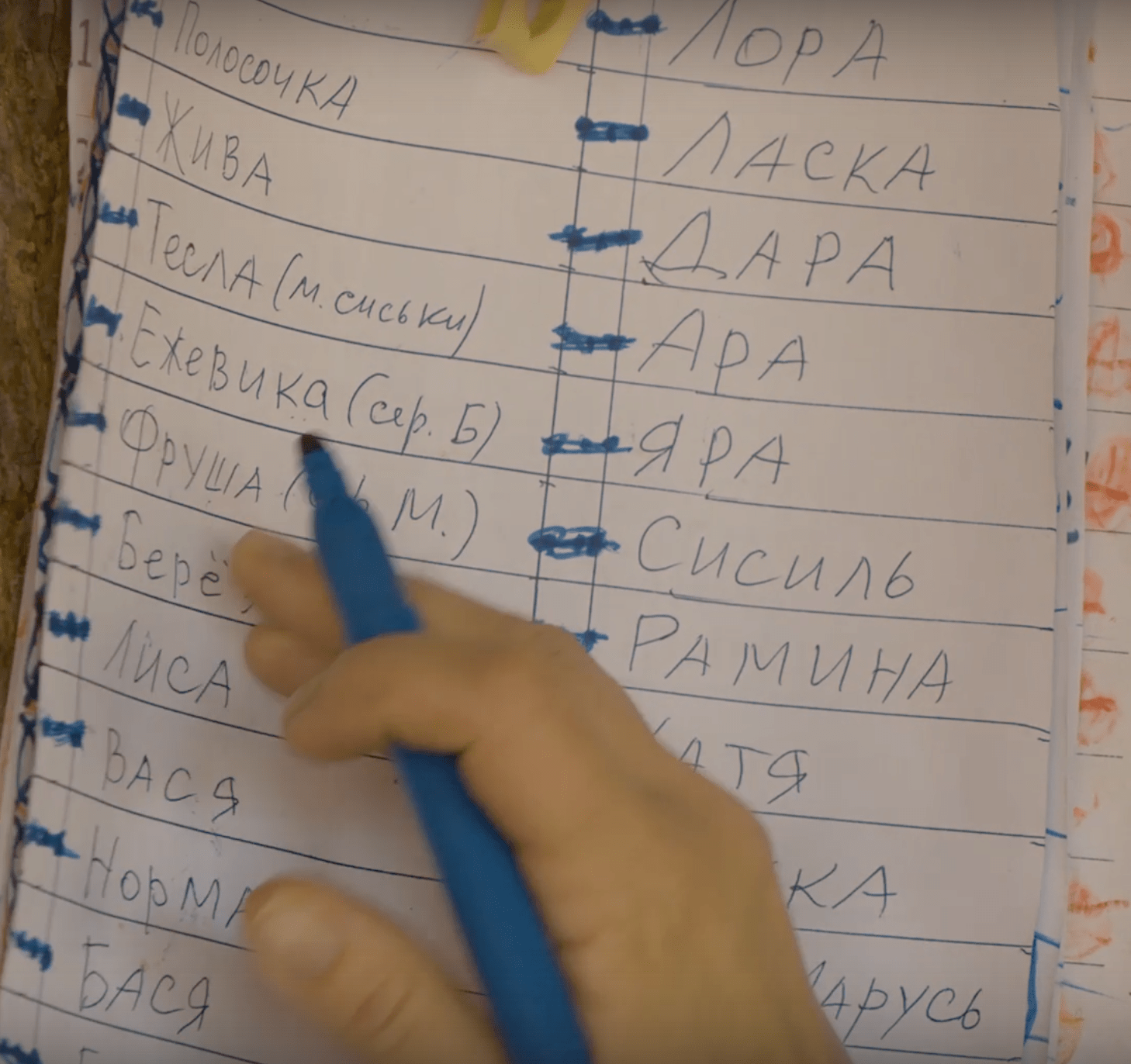Отмечаю фломастером, кого доили, а кого не доили